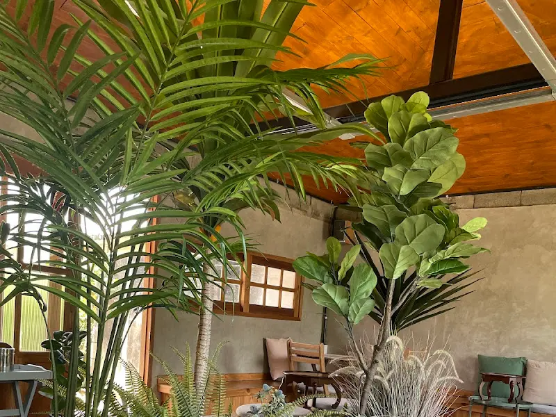 카페 내부의 플랜테리어. 다양한 식물들이 싱그러움을 더한다.