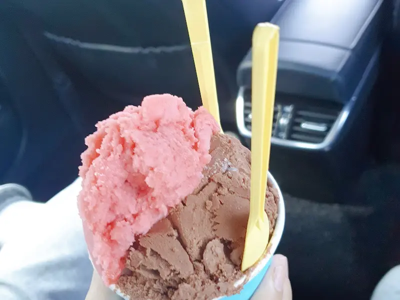 아이스크림 두 스쿱 사진