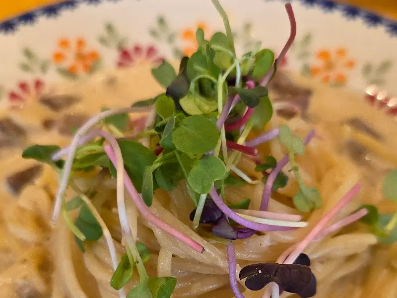 붉은대게파스타 클로즈업