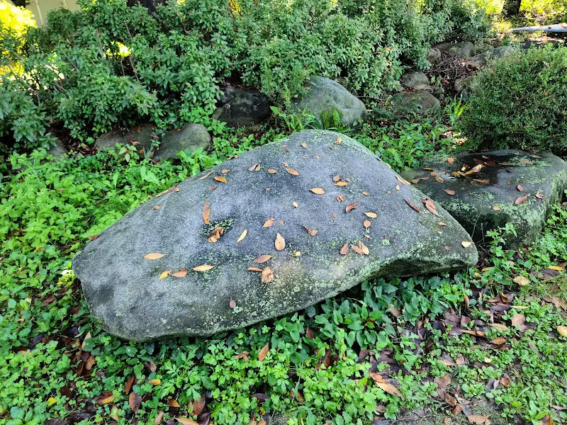 정원의 돌