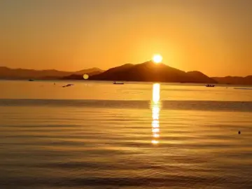 붉은 해돋이 품고 맛보는 풍성한 여다지회, 장흥 혼밥 여행의 행복한 시작을 알리는 지역 맛집 기행