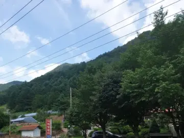 굽이굽이 산세 속에 숨겨진 홍천 맛집, 나래밭쉼터에서 즐기는 토종닭구이 향연