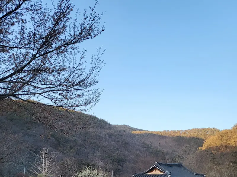 카페 주변 풍경