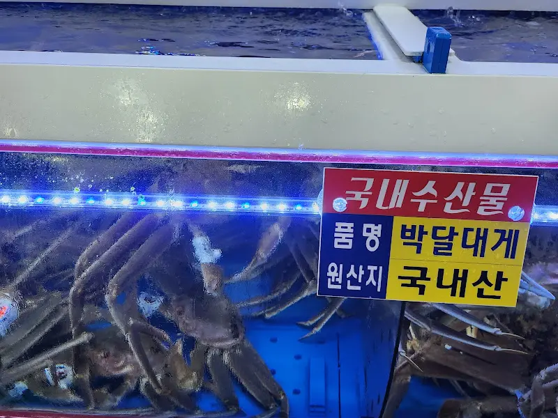 싱싱한 대게
