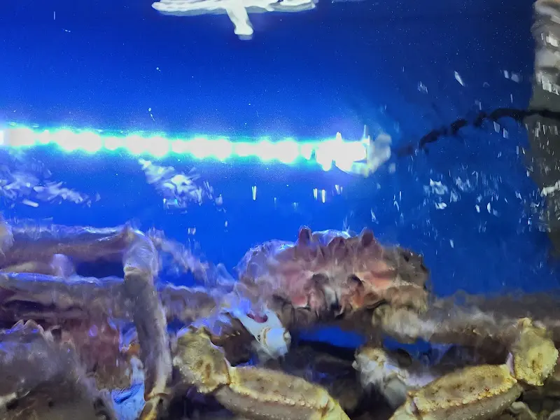 수족관 속 대게들