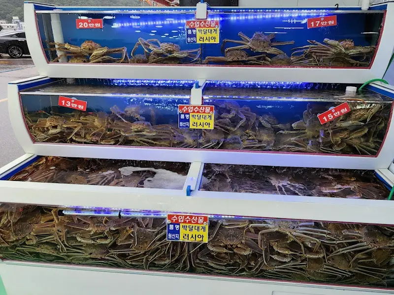 다양한 종류의 대게