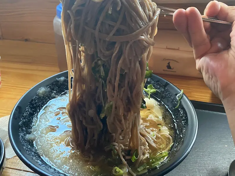 젓가락으로 집어 올린 메밀면