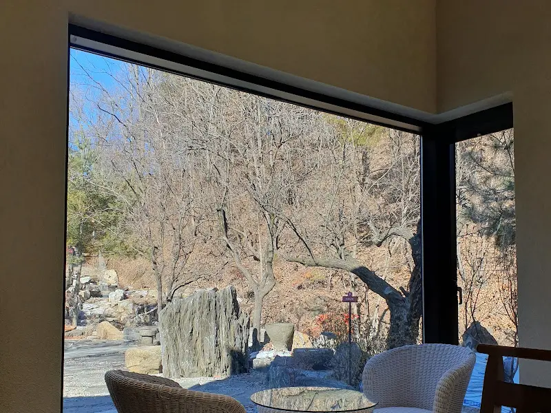 통창으로 보이는 정원 풍경