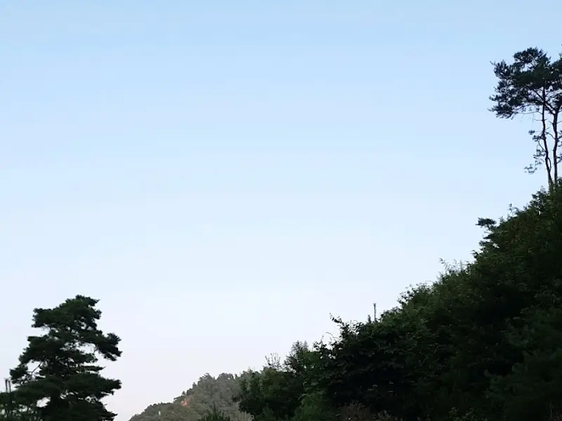 카페에서 보이는 산 풍경