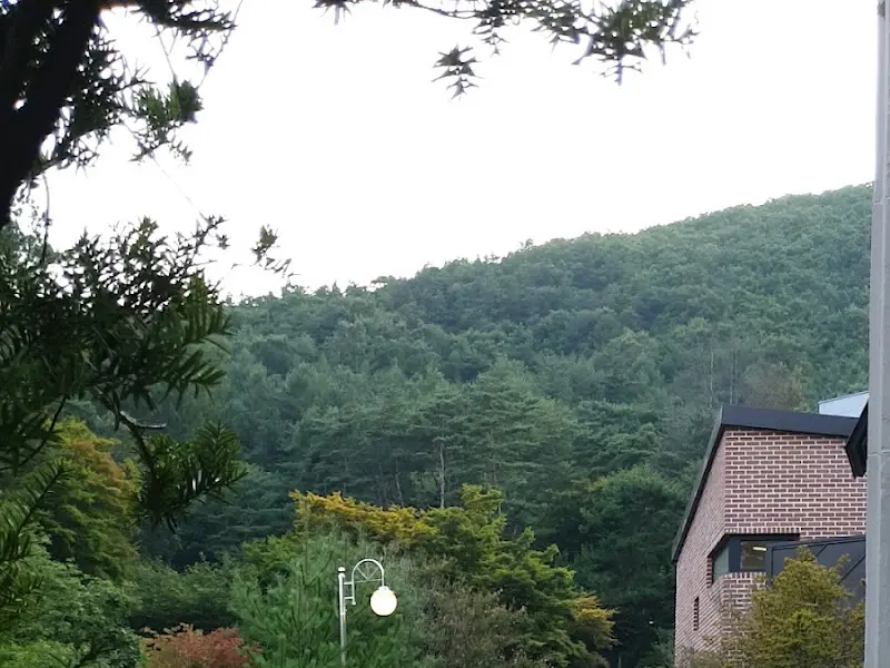 카페 주변 풍경