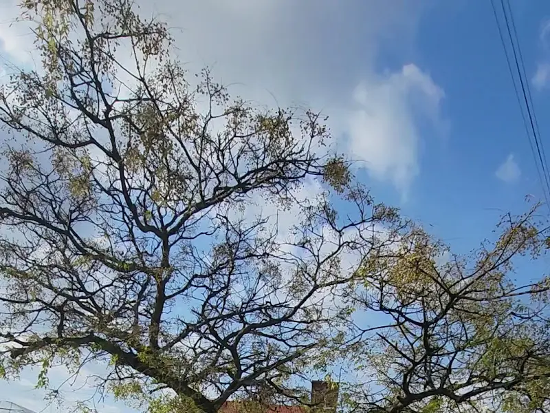 식당 외부 풍경