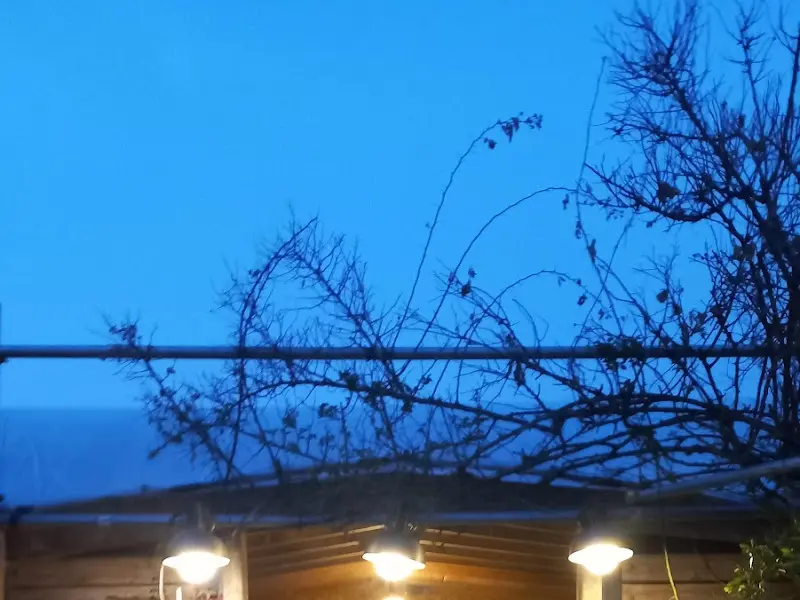 저녁 노을 아래 식당 풍경