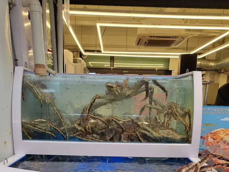수족관 안의 대게들