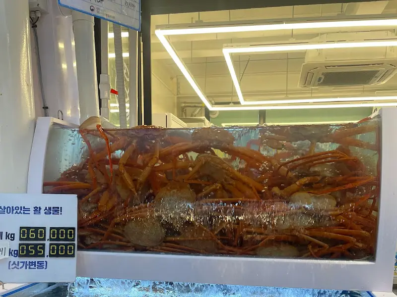 수족관의 대게들