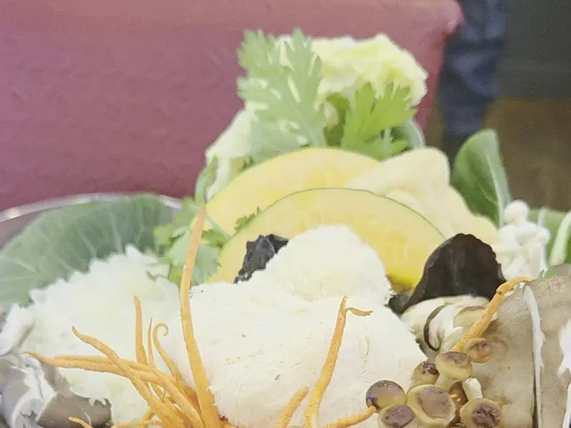 다채로운 버섯과 채소