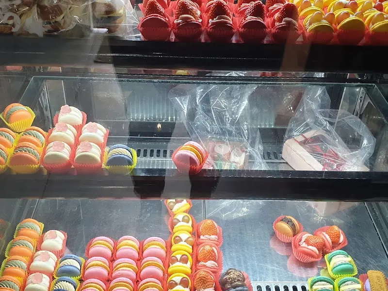 다채로운 마카롱 쇼케이스