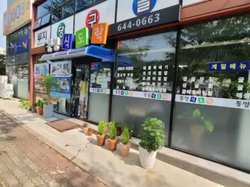 싱싱한 해물의 향연, 통영 당도식당에서 만난 해물뚝배기 맛집의 감동