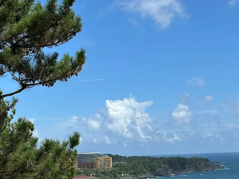 다양한 빵 종류