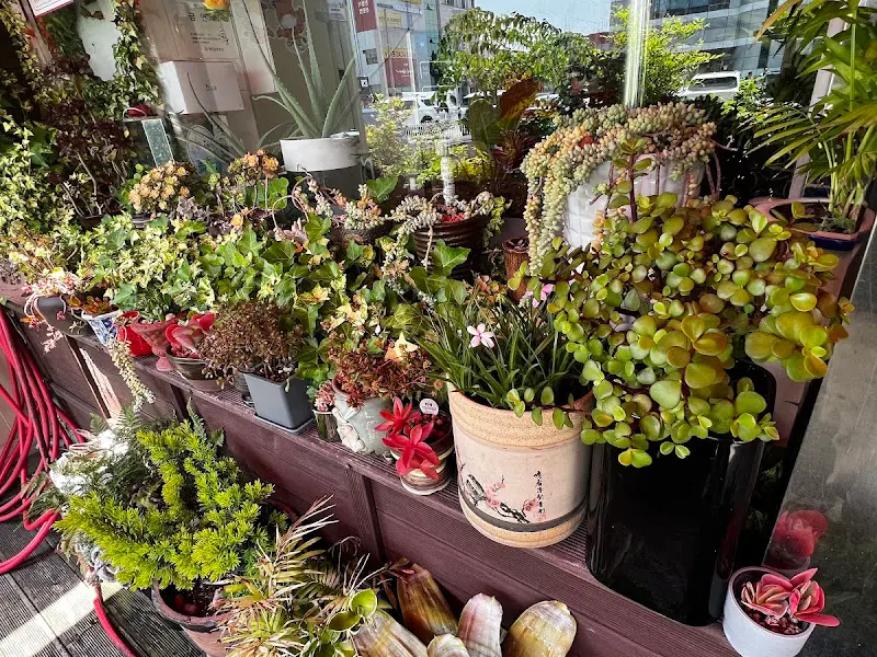 화분으로 가득한 식당 입구