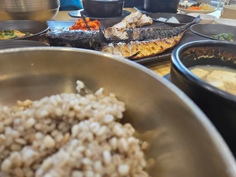 윤기가 흐르는 보리밥과 다양한 반찬들