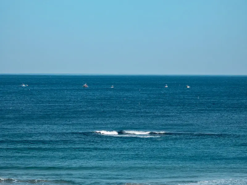 수평선 위로 떠오르는 붉은 해
