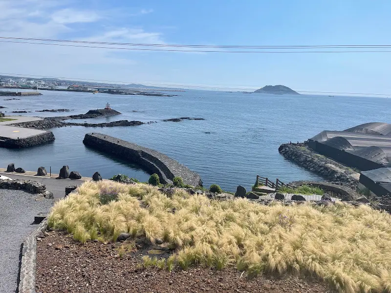 카페에서 바라본 비양도 풍경