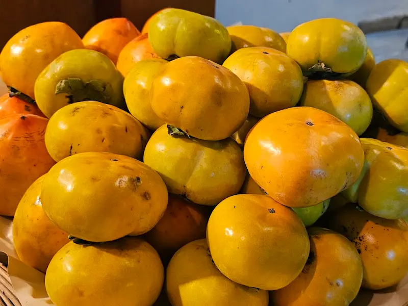 입구에 쌓인 탐스러운 귤