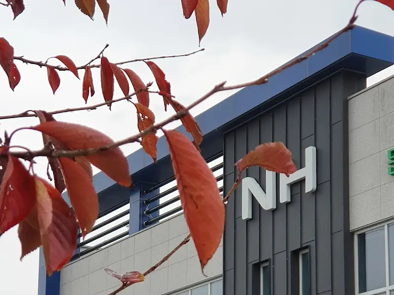 깔끔한 식당 내부