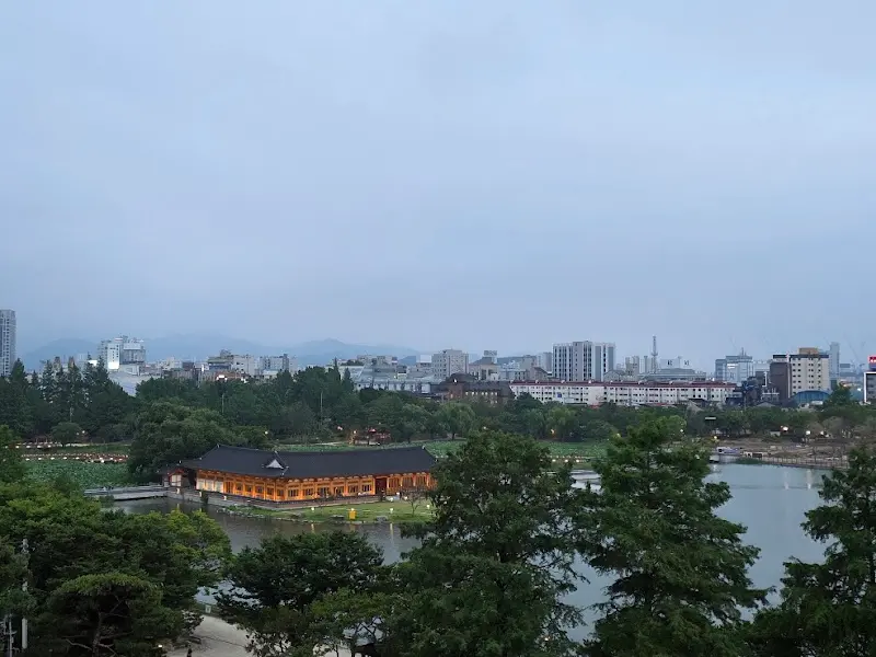 덕진공원의 아름다운 야경