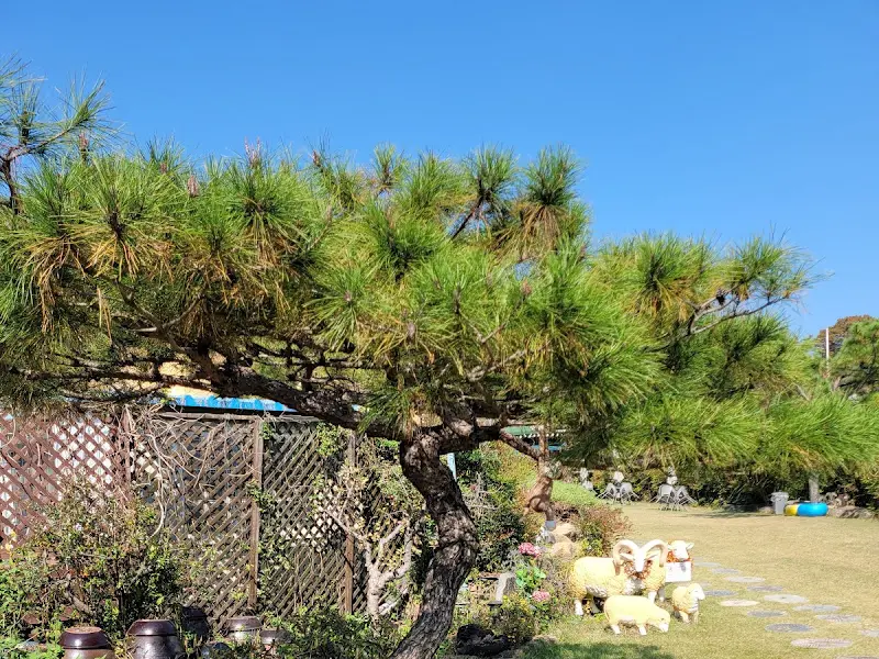 카페 정원의 나무