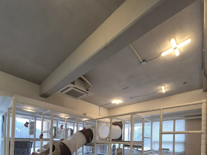 실내 놀이 시설