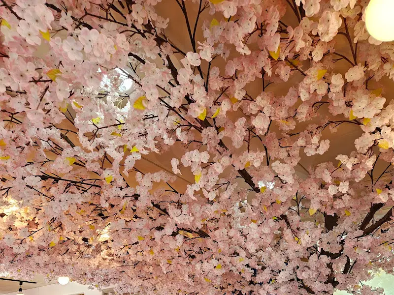벚꽃으로 장식된 천장