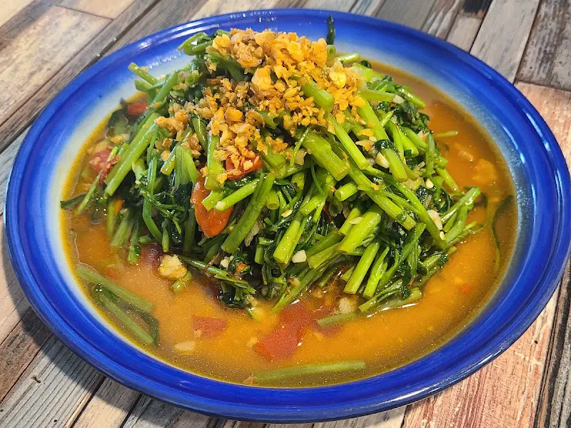 모닝글로리 사진