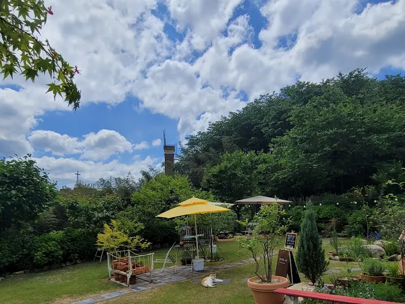 정원의 테이블과 파라솔