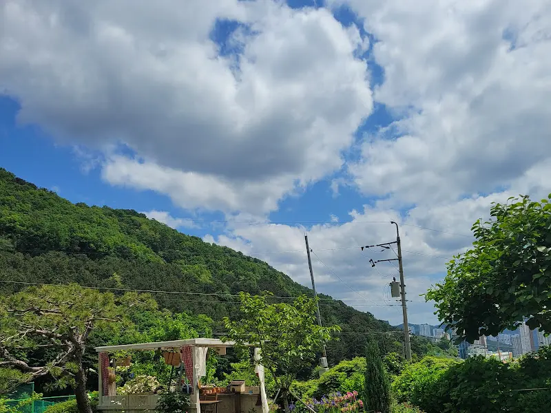 양지뜰밥집 주변 풍경