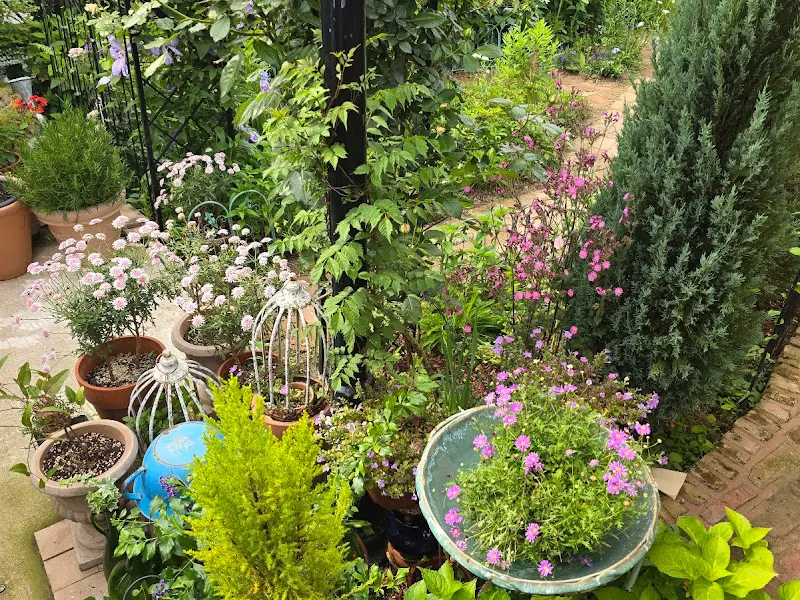 앤드미 정원의 아름다운 꽃들