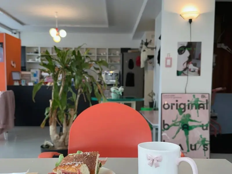 카페 내부 테이블과 의자, 식물 인테리어가 돋보인다.