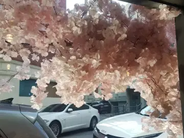 벚꽃 아래 펼쳐지는 미식 랩소디, 여수 맛집 심삼겹에서 인생 삼겹살 만나다