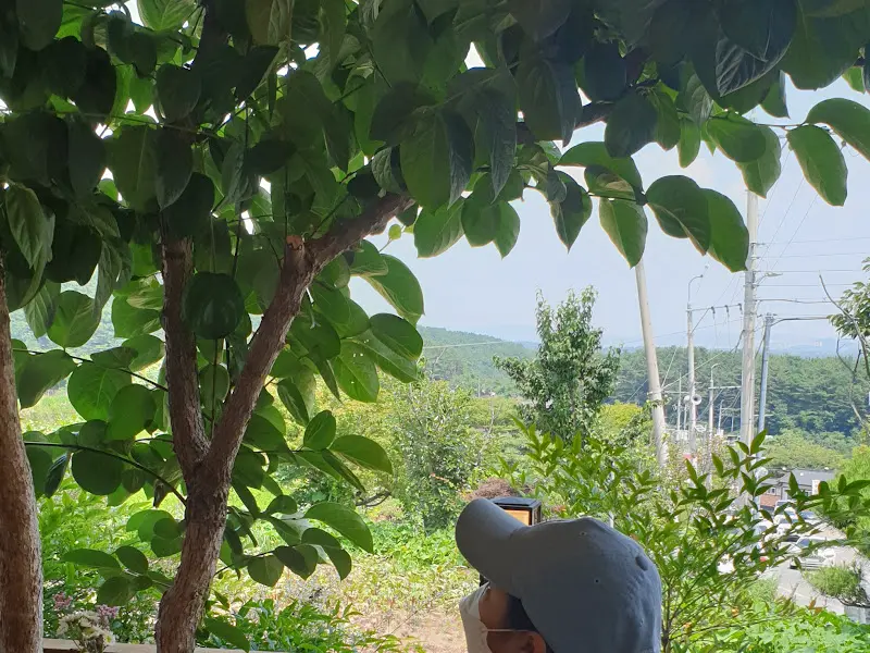 율리정 주변 풍경