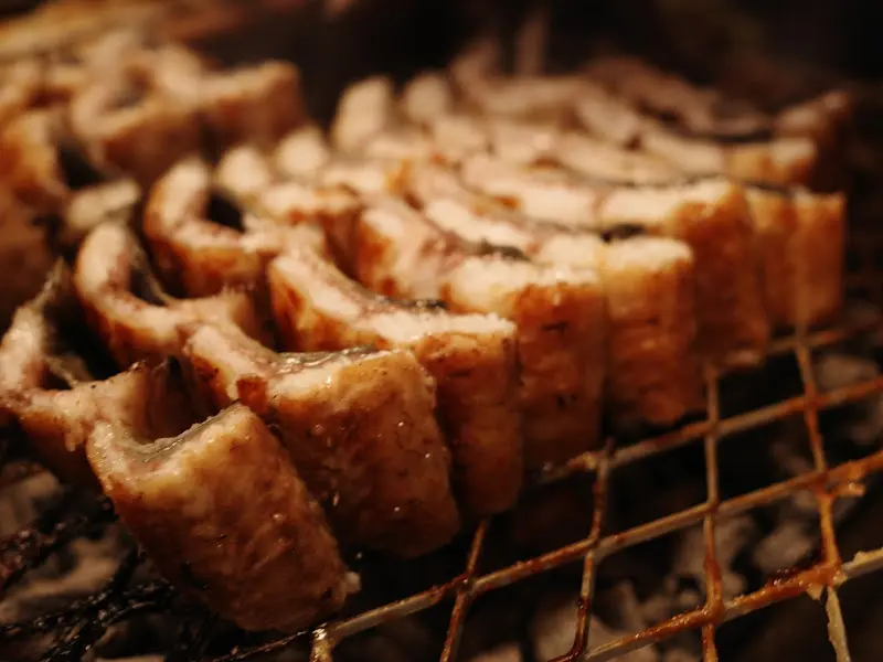 줄지어 놓인 장어