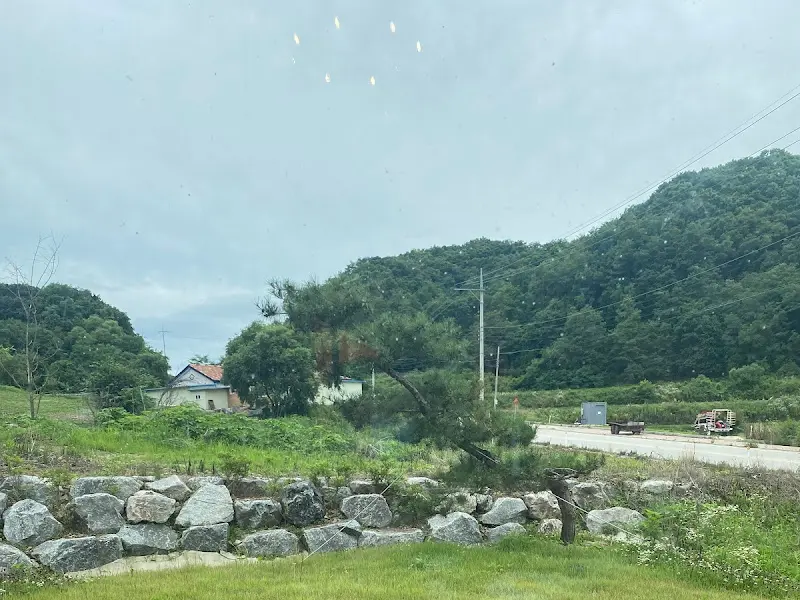 철원 쌀롱 창밖 풍경