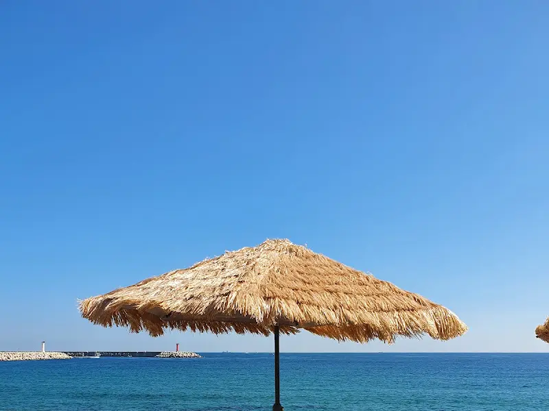 해변의 파라솔