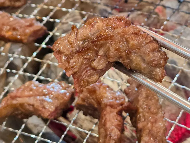 집게로 고기를 드는 모습