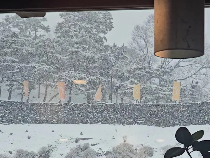 눈 내리는 공산성 뷰