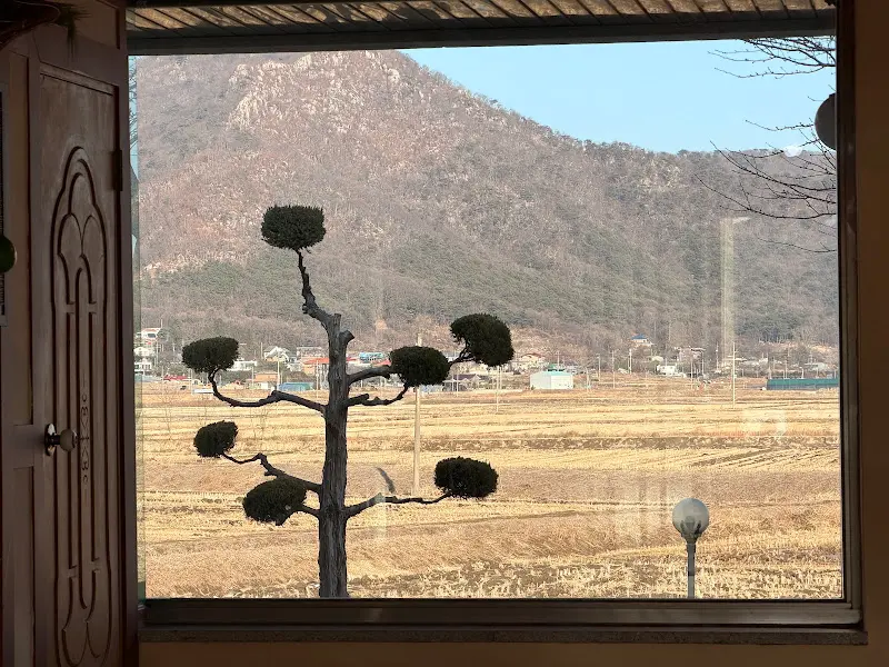 창밖으로 보이는 풍경