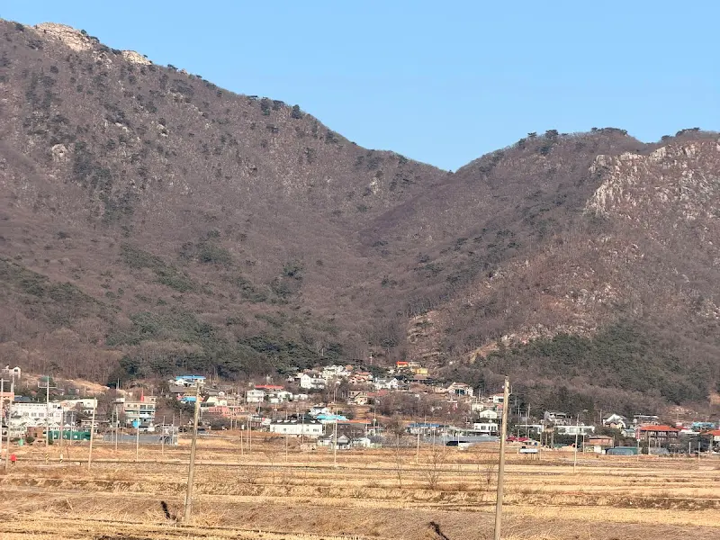 식당 주변 풍경