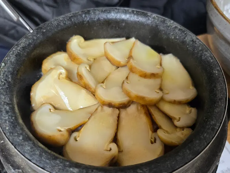 송이버섯 클로즈업