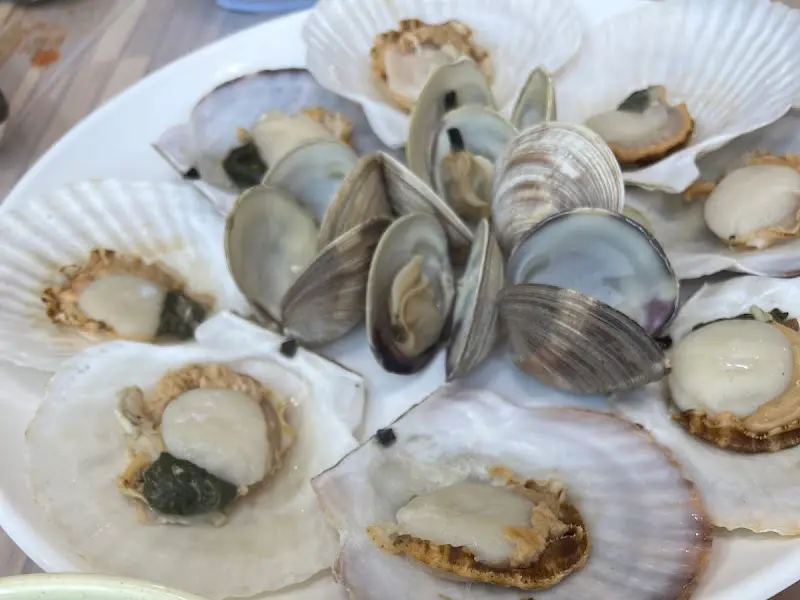 다양한 조개 스끼다시