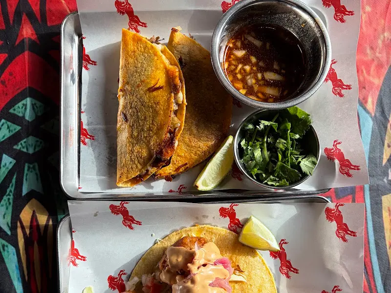 비리아 타코와 까마론 타코