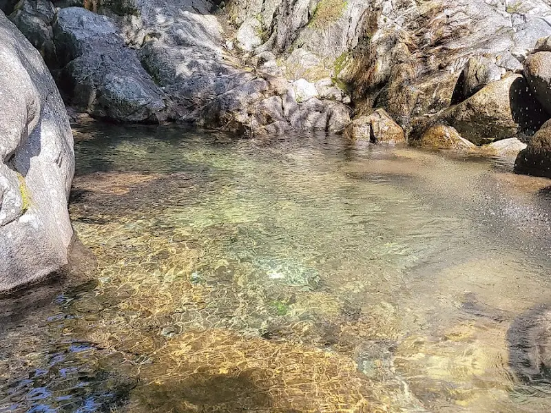 맑고 깨끗한 계곡물